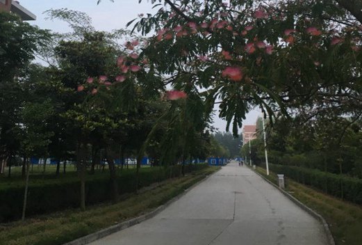 安徽省淮南卫生学校图片
