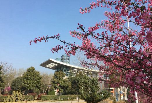 安徽省淮南卫生学校图片
