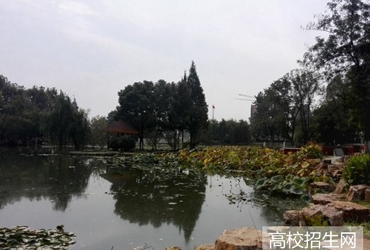 齐鲁医药学院图片