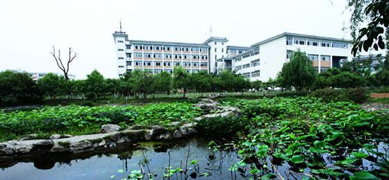 四川爱华学院2020年招生简章 四川爱华学院2020年招生简章
