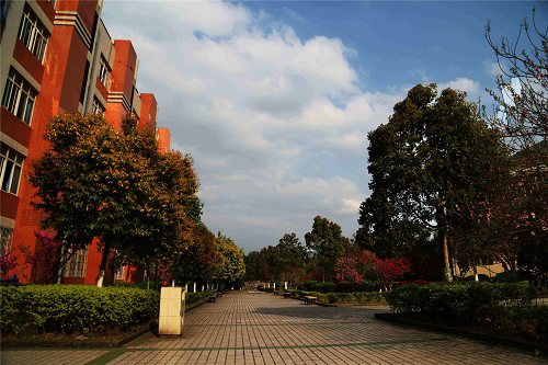 2020年重庆道角职业中学开设有哪些专业 2020年重庆道角职业中学开设有哪些专业