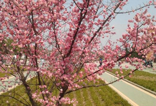 淮南师范学院图片