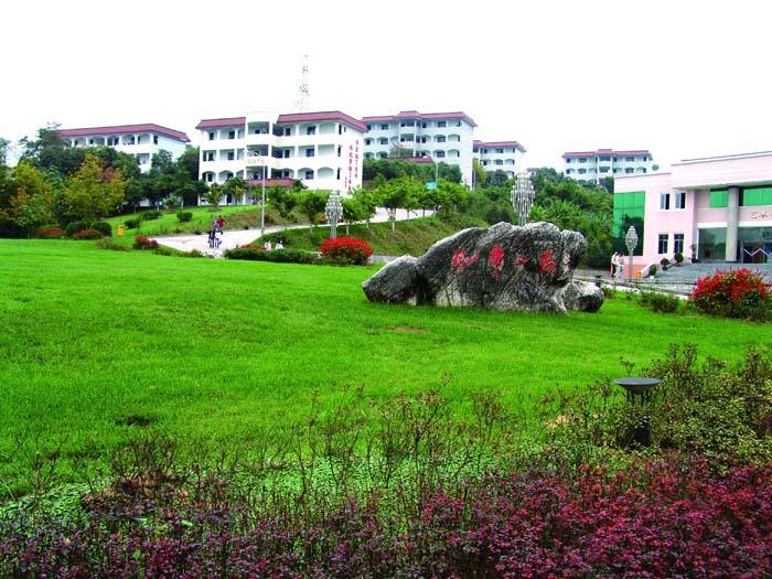 四川幼儿师范高等专科学校成人教育2020年招生简章 四川幼儿师范高等专科学校成人教育2020年招生简章