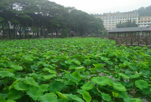 琼台师范学院图片