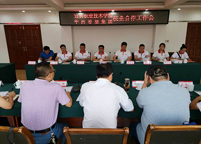 会议进行 会议进行