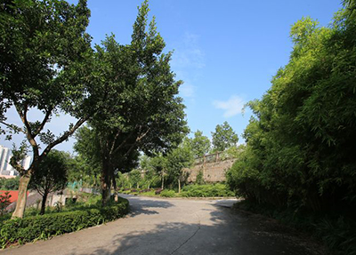 翠林小道.jpg 翠林小道.jpg