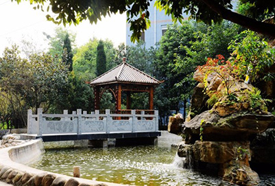 成都华大医药卫生学校2020年招生简章_学费收费标准 成都华大医药卫生学校2020年招生简章_学费收费标准