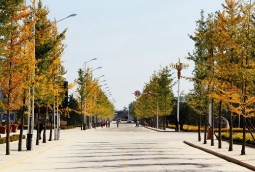 陇东学院岐伯医学院图片