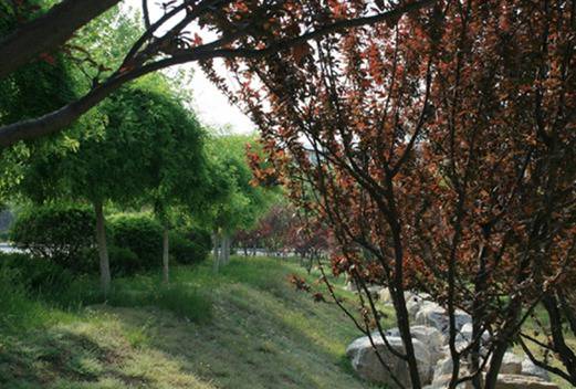 鲁东大学教育科学学院图片