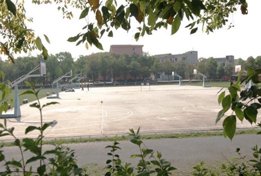湖南省岳阳市第一职业中等专业学校图片