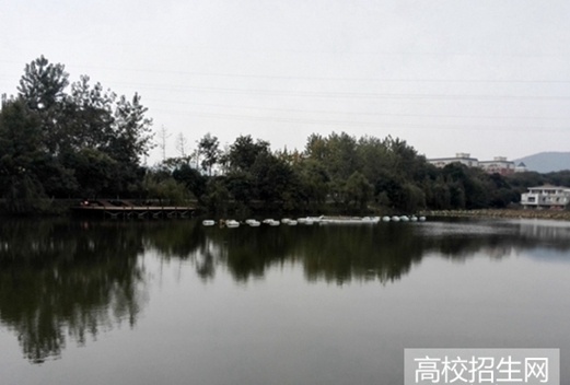 齐鲁医药学院图片