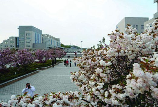 随州技师学院图片