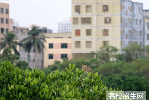 海南大学机电工程学院图片