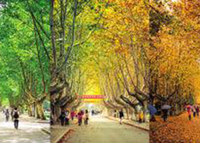 校园风景4.jpg 校园风景4.jpg