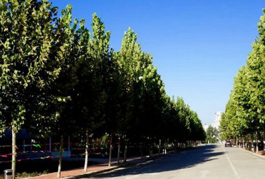 大连大学职业技术学院图片