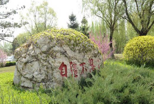 铁岭师范高等专科学校图片