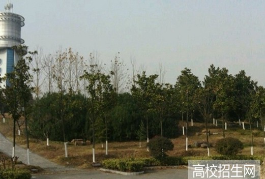内蒙古丰州职业学院图片