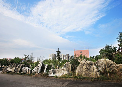 石林.jpg 石林.jpg