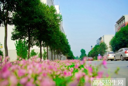 焦作大学图片