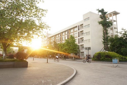 重庆交通职业学院招生办联系电话 重庆交通职业学院招生办联系电话