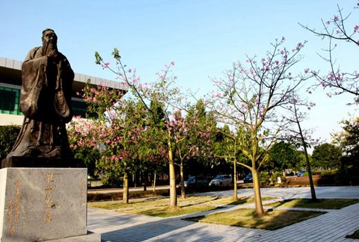 清远职业技术学院图片