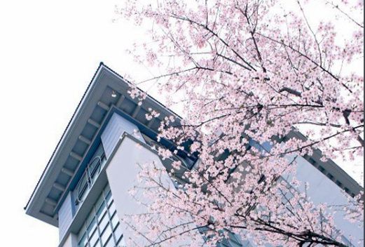 南京晓庄学院图片