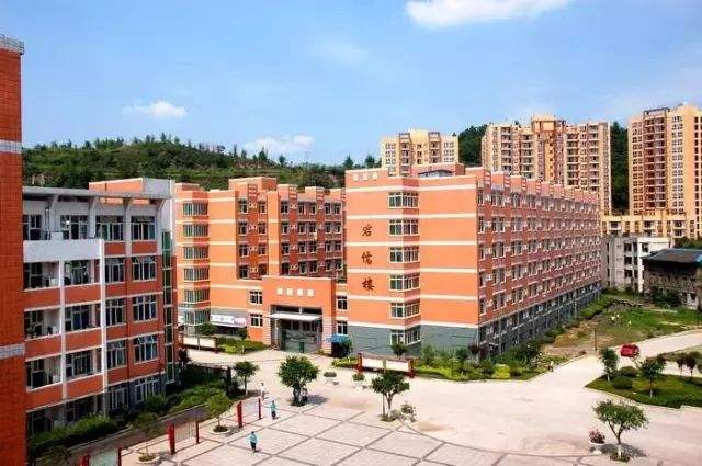 乐山市育才职业学校2020年招生简章 乐山市育才职业学校2020年招生简章