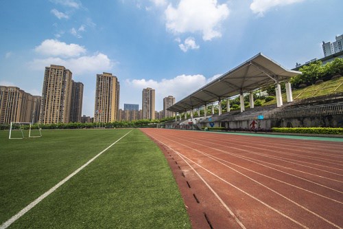 2020年重庆城市管理职业学院招生计划 2020年重庆城市管理职业学院招生计划
