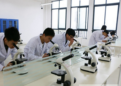 学校中的同学 学校中的同学