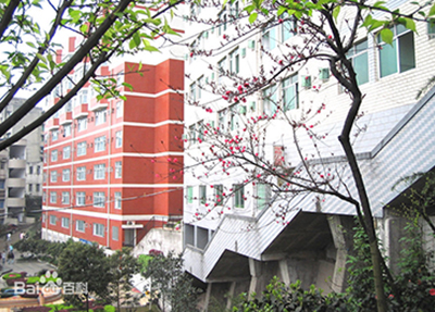 校园风景.jpg 校园风景.jpg