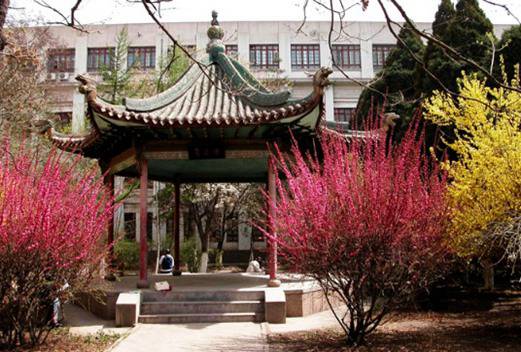 兰州大学医学院图片