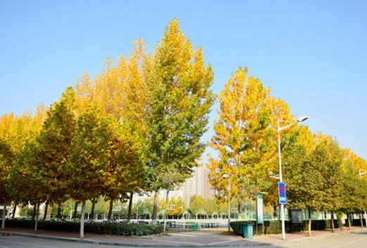 大连大学职业技术学院图片