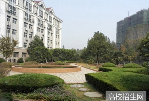 齐鲁医药学院图片