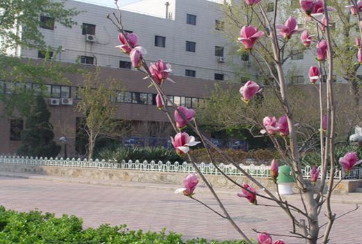 湖北省鄂州中等专业学校图片