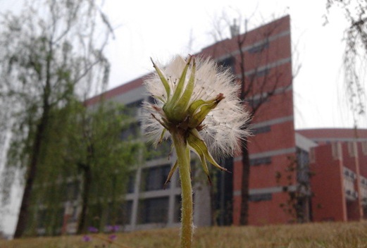 淮南师范学院图片