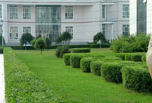 黑龙江农垦职业学院师范教育分院图片