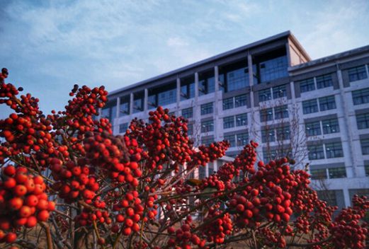 开封大学医学院图片