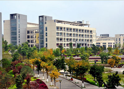 林荫小道.jpg 林荫小道.jpg
