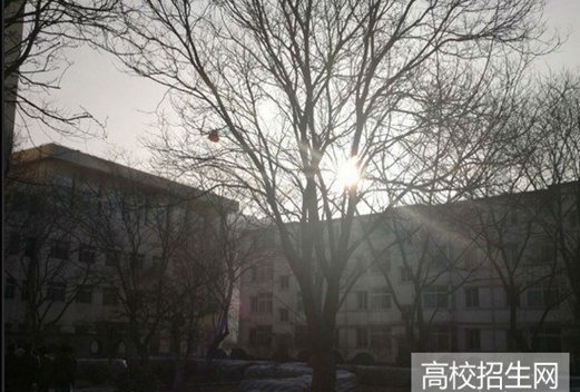 河北建材职业技术学院图片
