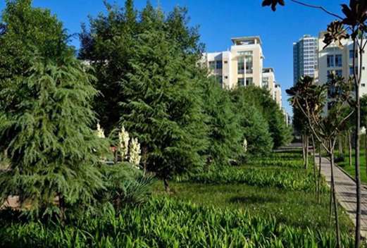 大连大学职业技术学院图片