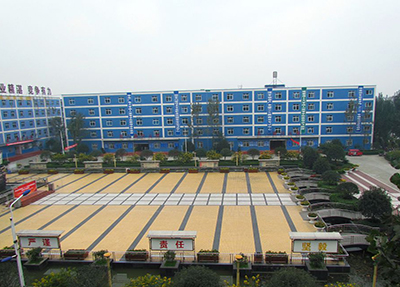 学校全貌 学校全貌