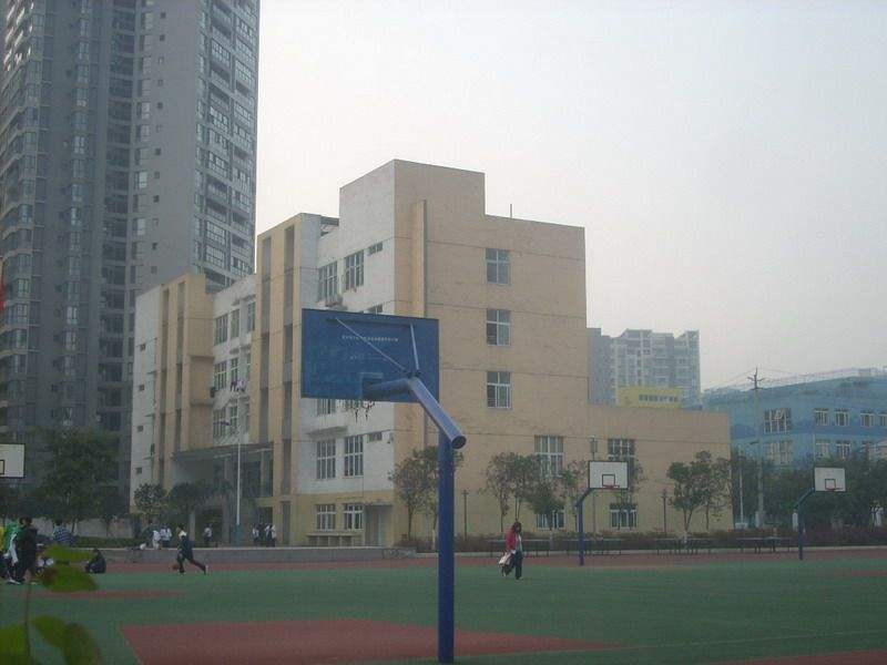 成都青苏职业中专学校2020年招生简章 成都青苏职业中专学校2020年招生简章