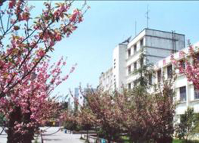 校园风景.jpg 校园风景.jpg