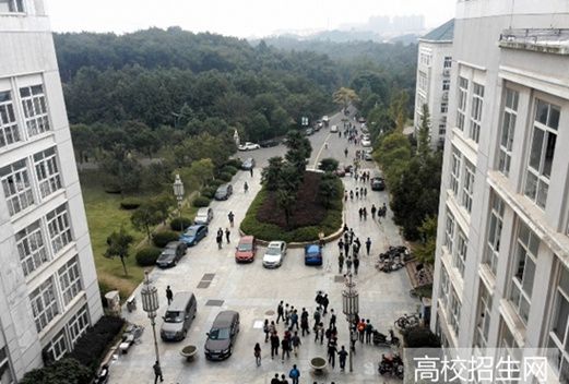 齐鲁医药学院图片