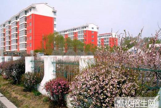 佳木斯职业学院图片