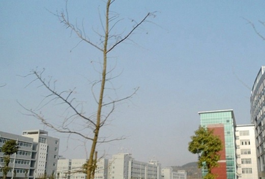 渭南师范学院图片