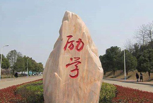 益阳医学高等专科学校图片
