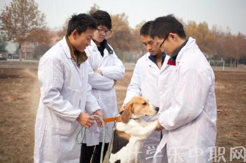 寻甸县职业高级中学