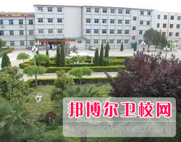 河南2020年的卫校大专学费多少