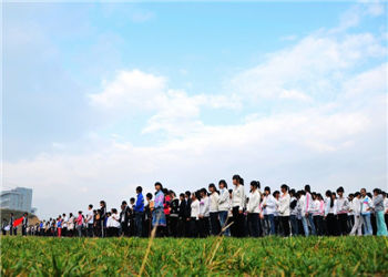 云南三鑫技术学院2020年五年制专科招生章程
